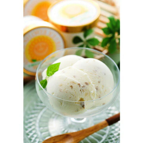 佐用町 南光ひまわり館 「ひまわりアイスクリームセット 130ml×10個」