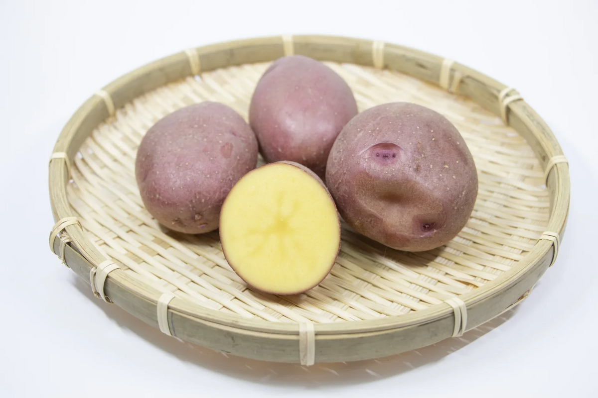 【じゃがいもよりサツマイモに近い味わい】北海道 十勝産 レッドムーン 土付き S~Lサイズ じゃがいも 芋 ジャガイモ 浦幌町 (2kg)