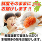 無着色 辛子明太子 1kg プレミアム 送料無料 人気には 訳あり 家庭用 中切れ 切れ子 めんたいこ 博多 福岡 旅行土産 お土産 ギフト 海鮮 プレゼント 売れ筋 ワンランク上の明太子 ご飯のお供 ご飯のおとも 見舞 丼 贅沢