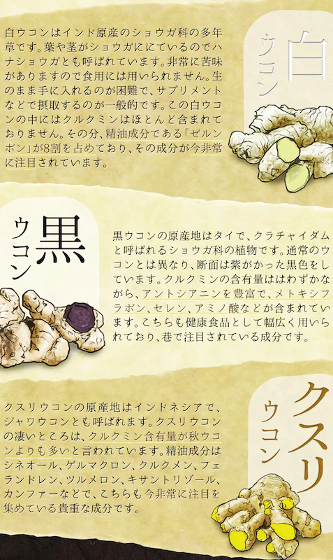 【大容量★約6ヶ月分】healthylife ウコンばくだん【6種のウコン＋クルクミン＋肝臓エキス 二日酔い対策 疲れ 肝臓エキス 飲みすぎ 食べ過ぎ】360粒 お酒で潰れたくない 二日酔いしたくない 脂っこいものをよく食べる 生活習慣が乱れている どのウコンがいいか迷っている クルクミン 肝臓エキス 食べ過ぎ 飲み過ぎに おすすめ 人気 ランキング 効果 強力 最強 通販 日本製 国産 健康サプリ 健康食品