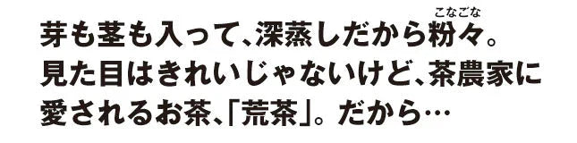 【2個セット】日本橋いなば園 静岡深蒸し茶 荒茶づくり 100g ネコポス メール便送料無料