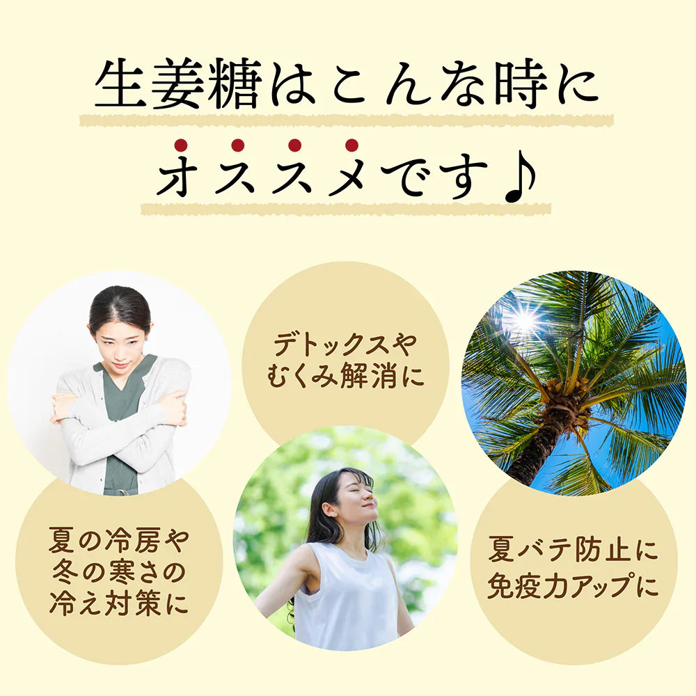 高知県産 生姜糖 500g ドライフルーツ 希少な純国産 送料無料 紅茶 おしゃれスイーツ チャック付きで開封後も便利 しょうが ジンジャー