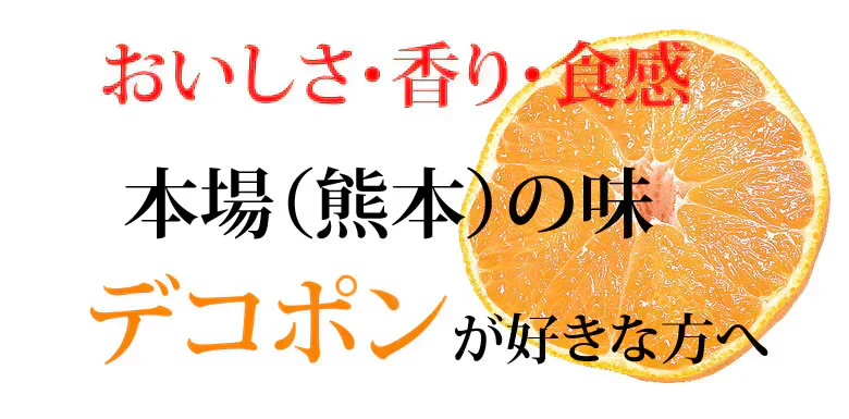 デコポン 同品種 訳ありデコみかん 1.5kg 送料無料 熊本県産 フルーツ みかん ミカン 蜜柑