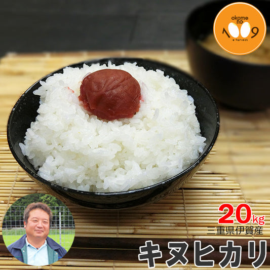 米 三重県伊賀産 キヌヒカリ 白米 18kg ヒラキファーム 令和5年産