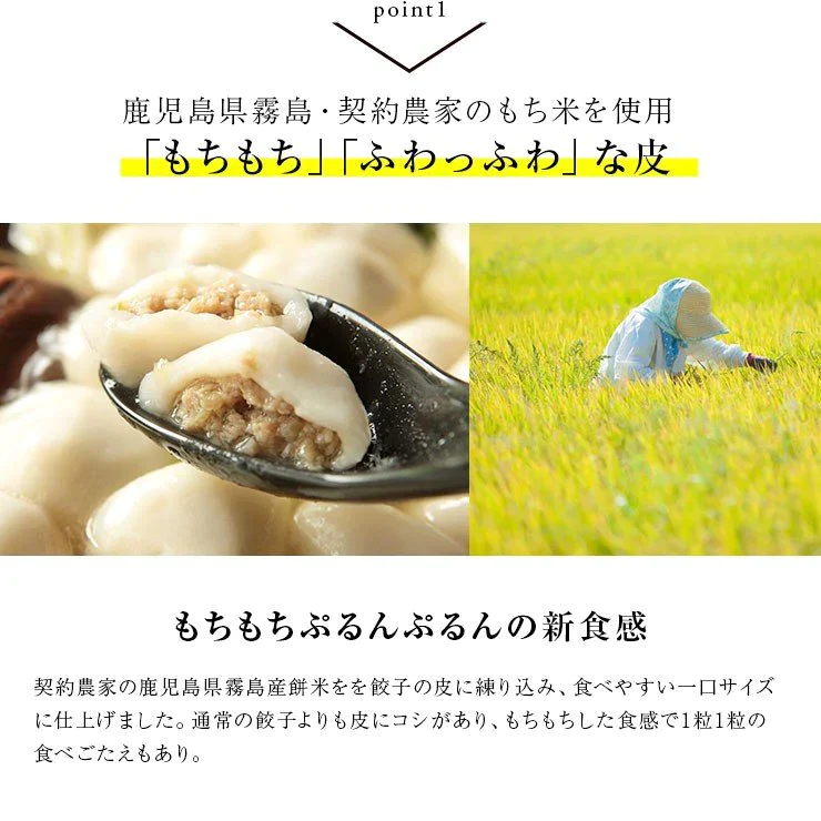 もっちりじゅわ〜の新食感 おもちのぎょうざ　黒豚もち餃子 20g×12個