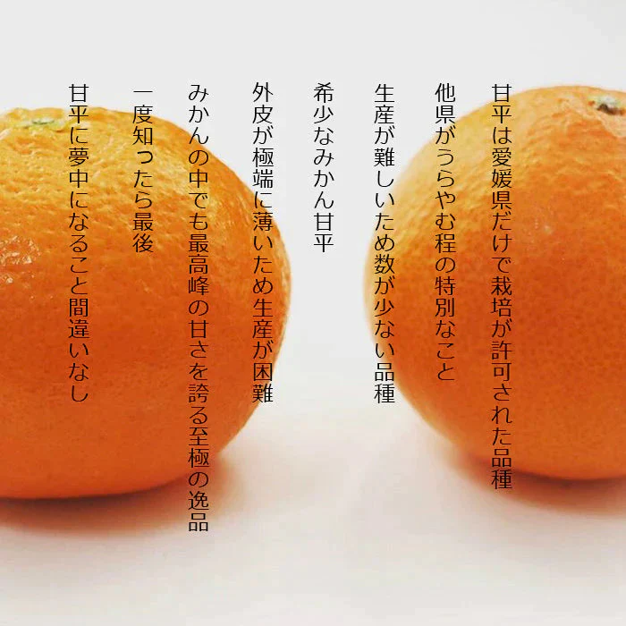愛媛産 甘平 わけあり 2.5キロ サイズおまかせ みかん【3月上旬順次配送】