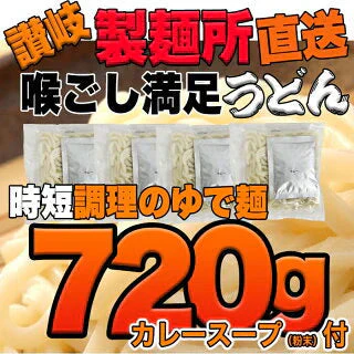 【4食入】過去讃岐の製麺所が作るレンジで簡単！辛すぎないスパイシーなカレーうどん(180g×4)/ゆうパケット