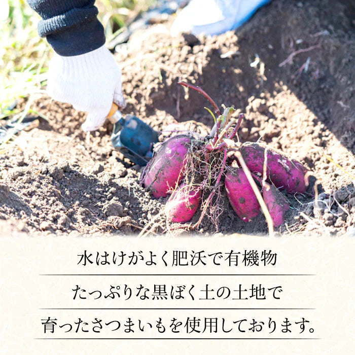 国産 紅はるか 冷凍 焼き芋 1kg 冷やし やきいも さつまいも 無添加 茨城県産 べにはるか 冷凍焼き芋 冷凍焼きいも 焼きいも さつまいもスイーツ 芋 スイーツ お菓子 さつま芋 和スイーツ 健康 ギフト プレゼント 贈り物 送料無料 絶品 高級 お取り寄せ Y1