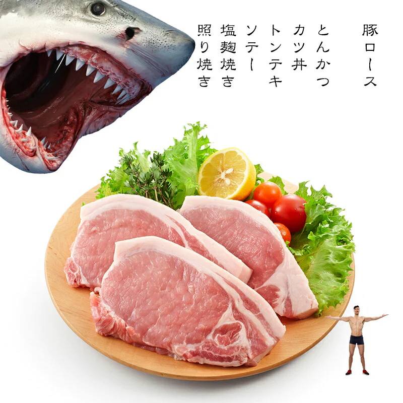 豚ロース 1kg 100gX10枚 冷凍 トンカツ
