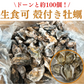 【生食OK】兵庫県産 殻付き牡蠣 冷凍 5kg 約100殻/冷凍クール便