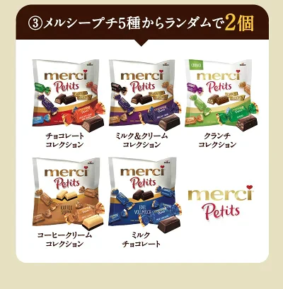 もったいないプロジェクト！チョコレート福袋第1弾！【送料無料】 ［冷蔵］