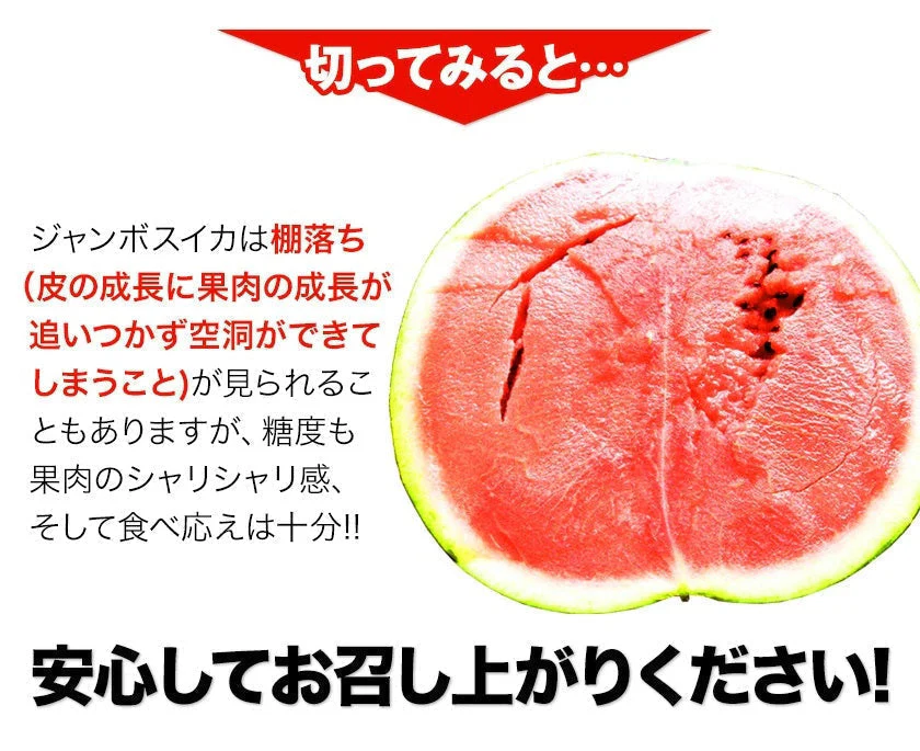 衝撃BIGサイズ！ 熊本県産 訳あり ジャンボスイカ 1玉（約6.8kg前後-約8kg前後）ジャンボすいか スイカ  すいか 旬 の 果物 夏 キャンプ バーベキュー BBQ 食材 デザート 家庭用 自家用 フルーツ 果物