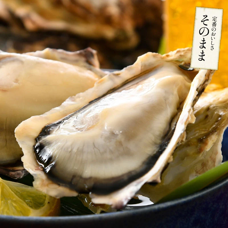 2L、Mサイズが選べる　カキ 牡蠣 かき 生食用 殻付き 1kg　Mサイズ（14～16個）　冷凍 ［送料無料］ 生牡蠣 生食 美味しい 冷凍牡蠣 生ガキ 生食用カキ お取り寄せ 殻付き牡蠣 高鮮度 贈り物 お取り寄せグルメ 贈答用