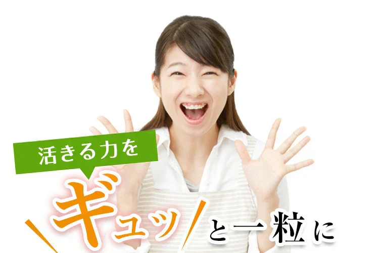 すっぽん黒酢無臭にんにく卵黄《約1ヶ月分》ダイエット サプリ サプリメント オメガ3 大豆ペプチド /  美容 健康 亜麻仁油 アミノ酸 すっぽん 黒酢 にんにく卵黄【カウシェファーム収穫対象商品】