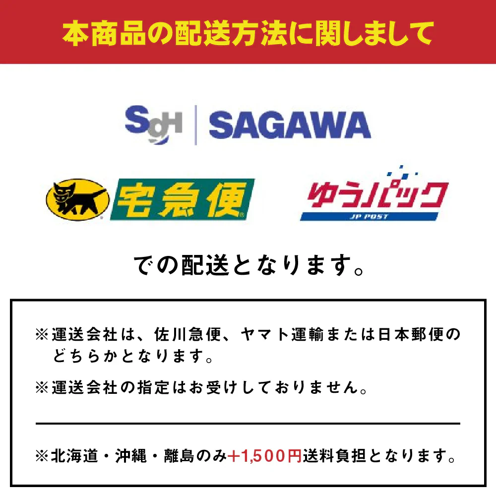 北海道ラーメン食べ比べ10食 ご当地ラーメン 送料無料 （北海道・沖縄+1500円） ご当地セット 産直 福袋 食品 グルメ 食べ物 プレゼント ギフト ギフトセット お歳暮 御歳暮 歳暮