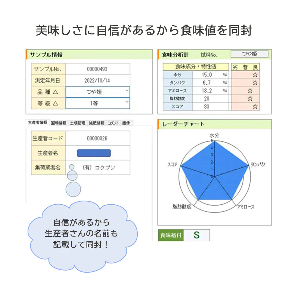 米 5kg つや姫  精米 山形県産 送料無料 ギフト 令和6年産 単一原料米 ブランド米 こめ コメ 白米 産地直送 kkb-002
