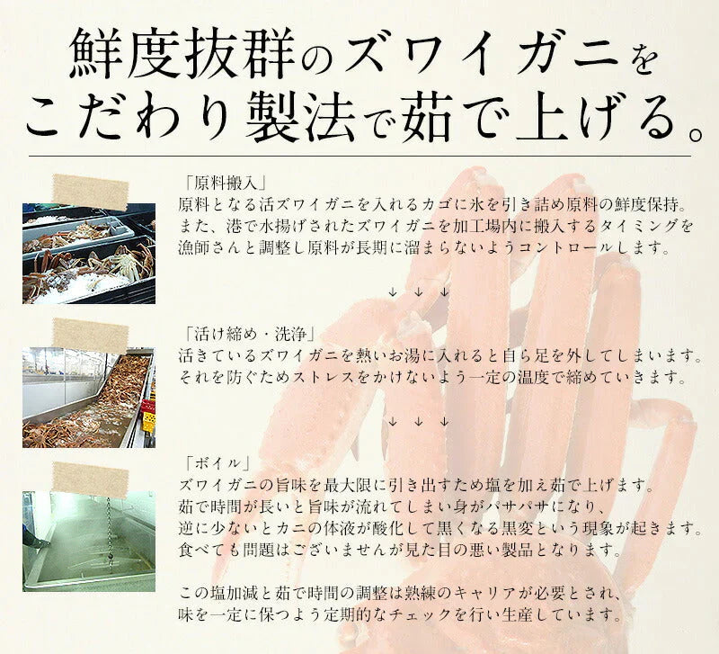 ずわい蟹 姿 3kg 600g前後×5尾 カニ かに 海鮮 ズワイガニ ずわいがに お取り寄せ 美味しい 蟹 ずわい ズワイ 蟹鍋 魚介 お取り寄せグルメ まとめ買い 食べ物 食品 ［送料無料］ 母の日 プレゼント ギフト  母の日思いの 健康 実用的 父の日 子供 孫