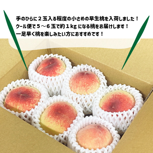 和歌山県産 早生桃 約1kg ５〜６玉 小玉 早生品種 はなよめ 白鳳系 和歌山 日川 小さめ