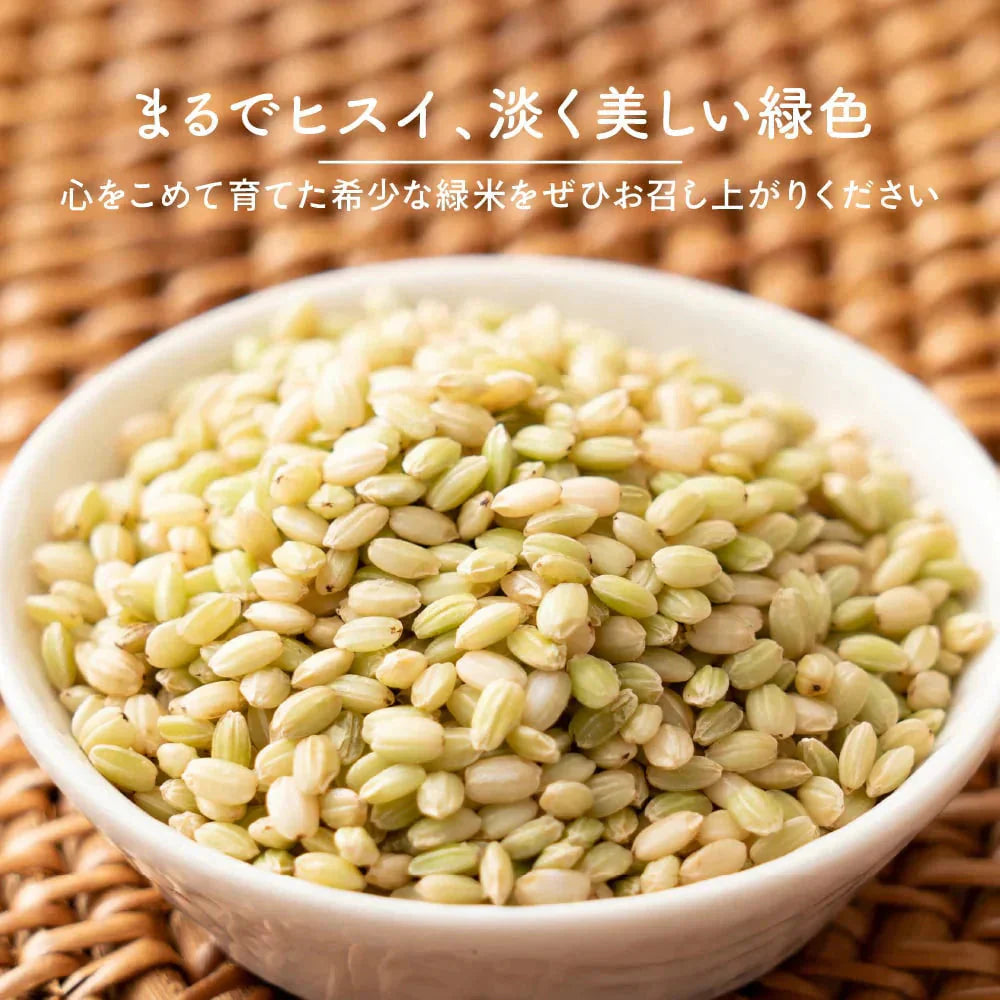 雑穀 雑穀米 国産 緑米 4kg(400g×10袋) 徳用サイズ 無添加 無着色 送料無料 古代米 みどりまい