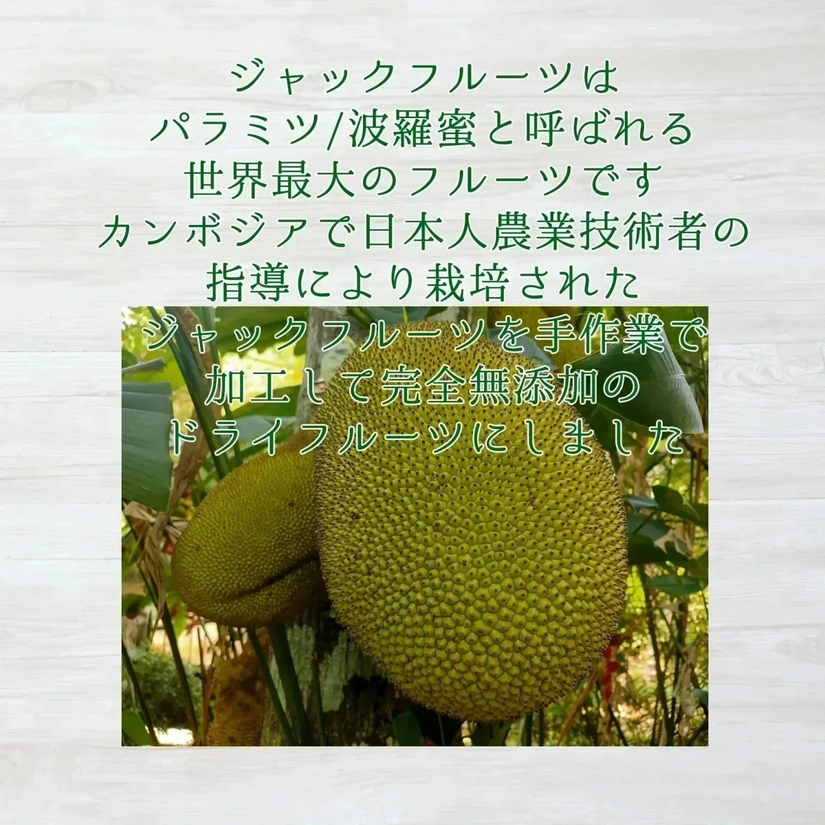 【30g】大地の生菓 無添加 ドライフルーツ ジャックフルーツ 送料無料 砂糖 保存料 不使用 お試し 製菓材料【KF】