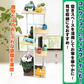 鉄製5段フラワースタンド ナチュラル ラック アイアン ガーデニング 園芸 コレクション 観葉植物 植物棚 花台