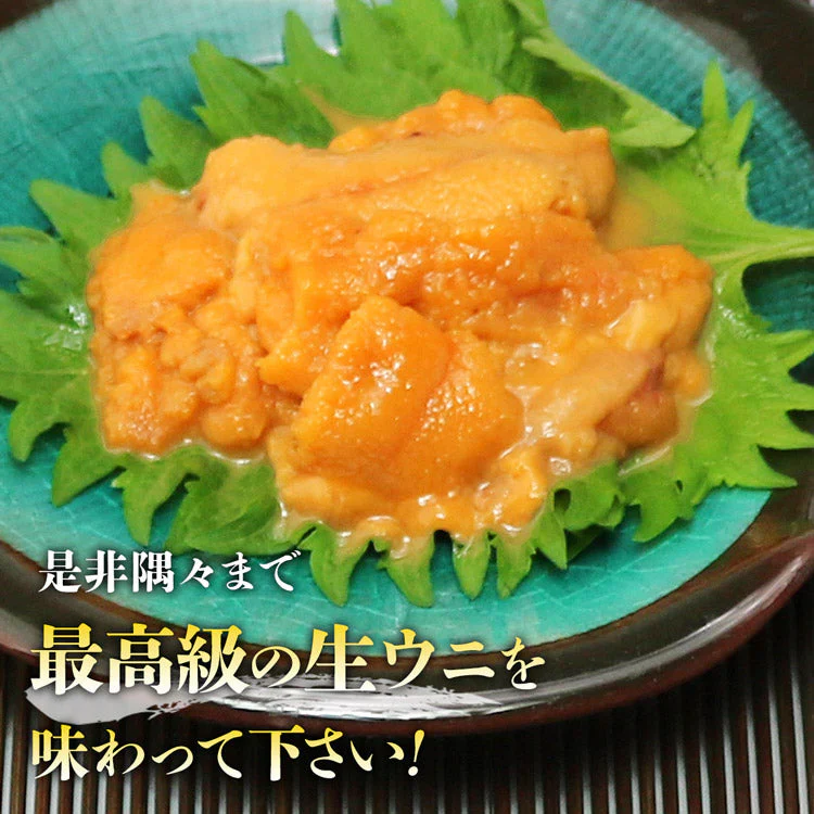生うに 100g×3パック 完全無添加 みょうばん不使用  お刺身用 生 AAグレード ウニ うに 雲丹 冷凍 送料無料 冷凍便 お取り寄せグルメ 食品 ギフト