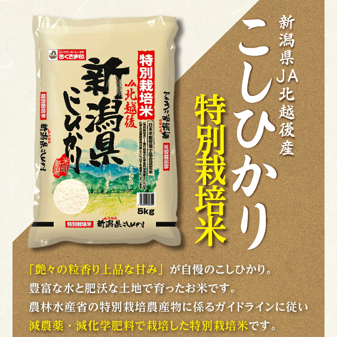 米 精米 新潟県 特別栽培米 こしひかり 10kg (5kg×2) 令和5年産 新米 JA北越後指定 お米 白米 おくさま印 国産 食品 ギフト 引っ越し 挨拶 出産 内祝い お中元 お歳暮 結婚 快気 還暦 香典返し お年賀 送料無料