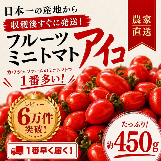 【１番早く届く！】【10月中旬頃〜12月末日までに発送】【予約】１番多い約450g！アイコ ミニトマト(280~300g+保証分150g)日本一の産地から農家直送 熊本県産 野菜 青果 フルーツ【カウシェファーム収穫対象商品】