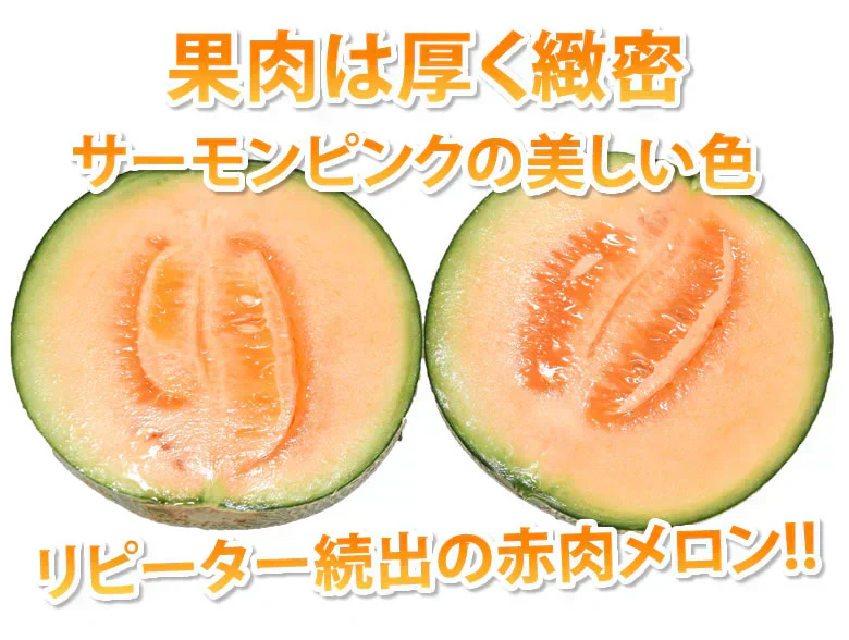 メロン 訳あり 小玉 赤肉メロン 4kg 送料無料  熊本県産 クインシーメロン フルーツ