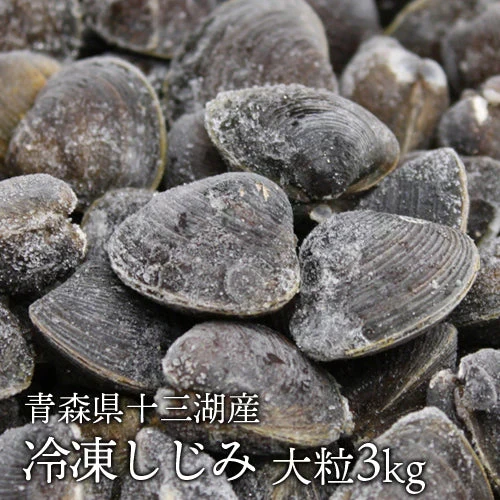 青森県十三湖　冷凍しじみ大粒 3kg（ヤマトシジミ）砂抜き済み　国産　送料無料　健康