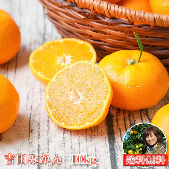 みかん　吉田みかん　１０ｋｇ　ｆ吉１０　家庭用　愛媛　吉田　果物　フルーツ　柑橘　ミカン　蜜柑　　訳あり　送料無料