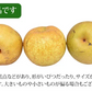 梨 送料無料 訳あり 1kg お取り寄せ 九州産 ナシ 和梨 幸水 豊水 秋月 新高 新興 愛宕