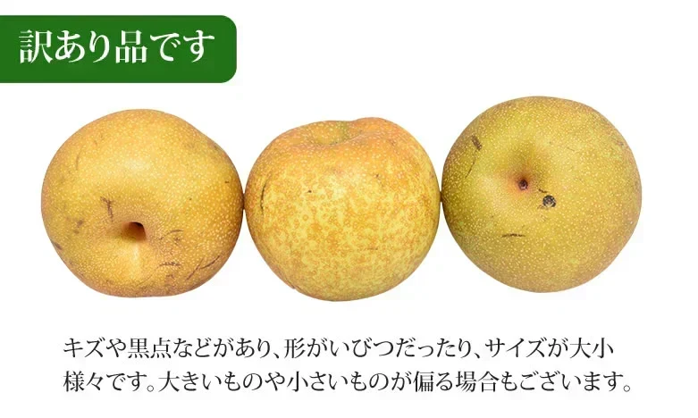 梨 送料無料 訳あり 1kg お取り寄せ 九州産 ナシ 和梨 幸水 豊水 秋月 新高 新興 愛宕