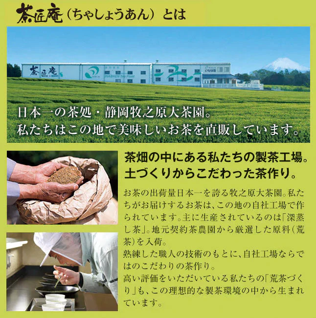 【2個セット】日本橋いなば園 静岡深蒸し茶 荒茶づくり 100g ネコポス メール便送料無料