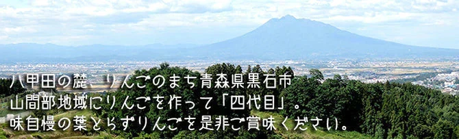 青森県産 訳あり 葉とらず ふじ × 王林 りんご 5kg(約14～18個)※11月下旬よりご予約順に発送【指定日不可】