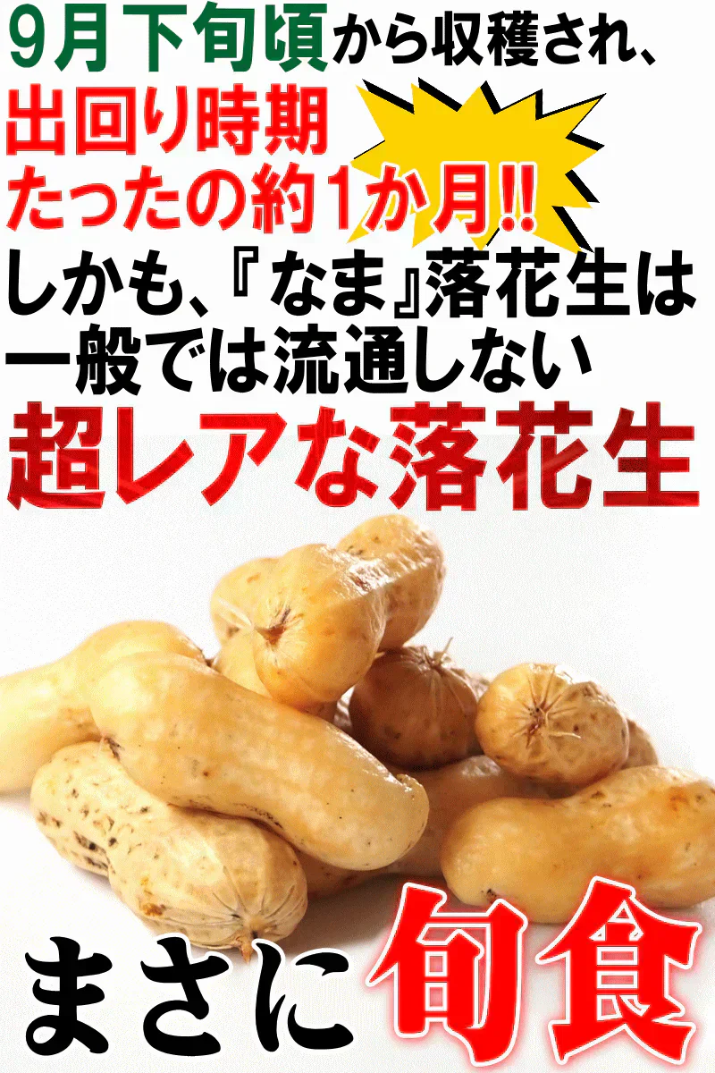【数量限定】千葉県産　おおまさり　生落花生　1㎏　有機栽培