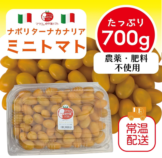 7/20以降順次発送します！ナポリターナカナリア！！　トマト　ミニトマト　プチトマト 　カラートマト　産地直送　700g　農家直送
