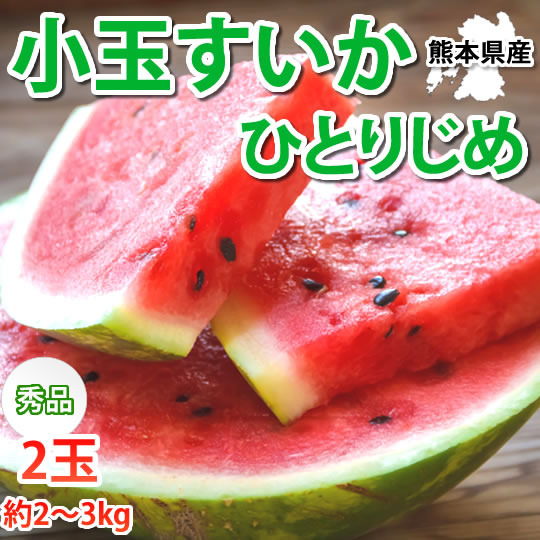 【6月上旬～中旬頃より順次出荷】すいか 送料無料 小玉すいか ひとりじめ 秀品2玉 約2～3kg 西瓜 スイカ 熊本県産 お取り寄せ フルーツ
