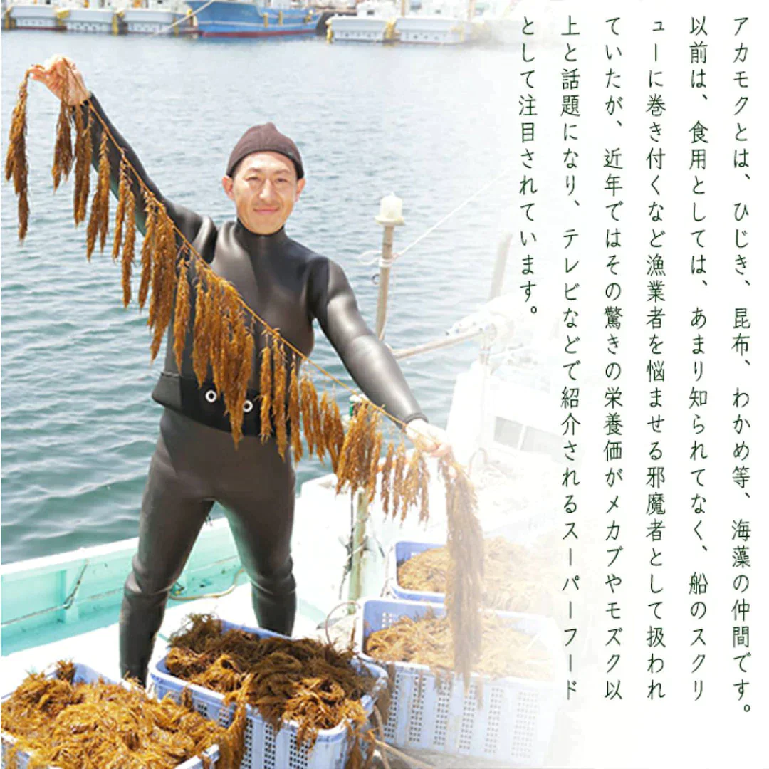 玄界灘産　宗像のあかもく80ｇ×20個　合計1600ｇ　送料無料（一部除く）　アカモク あかもく ぎばさ 国産 魚介類 ギフト お取り寄せ まとめ買い 福岡 食物繊維 ミネラル スーパーフード 海産物