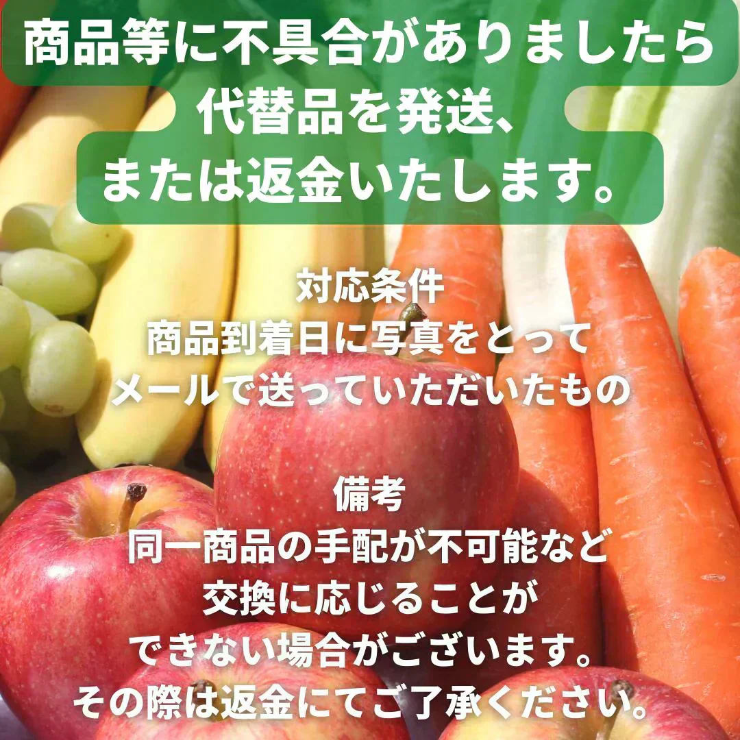 【送料無料】定番野菜セット11品（キャベツ・大根・玉葱・胡瓜・茄子・人参・じゃがいも・しめじ・えのき・長葱・ピーマン）中身が分かるセット【大田市場直送】