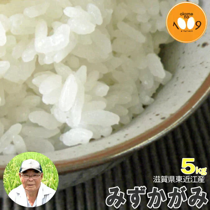 新米 滋賀県東近江産 みずかがみ 白米 5kg 諏訪一男 令和6年産 環境こだわり農産物