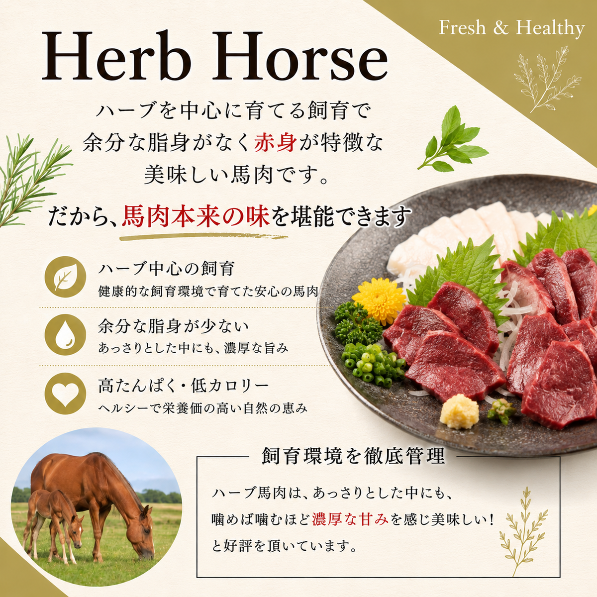 馬刺し 生食用 トロユッケ ミンチ 約500g HERB HORSE