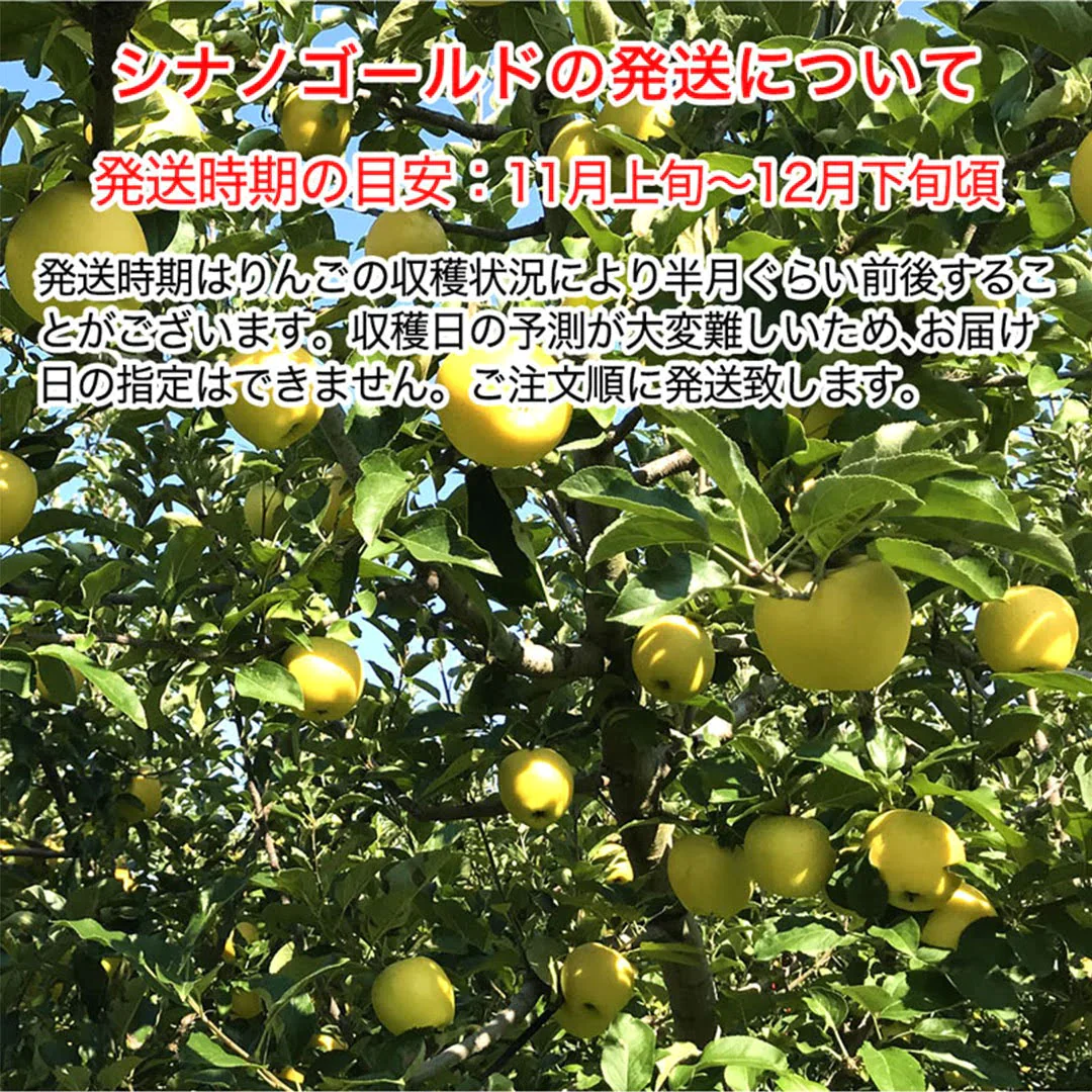 【2023年産予約開始！数量限定！】シナノゴールド 加工用 約2.5kg(7-16玉) パリっと歯ごたえジューシー 10月下旬頃発送開始予定 #YAG0K025