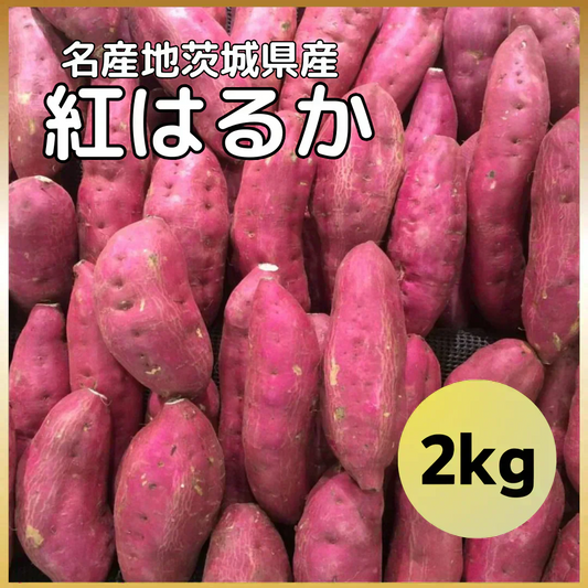 【焼き芋屋が厳選◎】 紅はるか 訳あり 2kg(1.5kg+補償分500g) さつまいも シルクスイート サツマイモ 干し芋 好きに 青果 野菜 市場 食品 グルメ スイーツ 甘味
