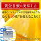 【一時休売】甘熟王ゴールドプレミアムパイン 2玉