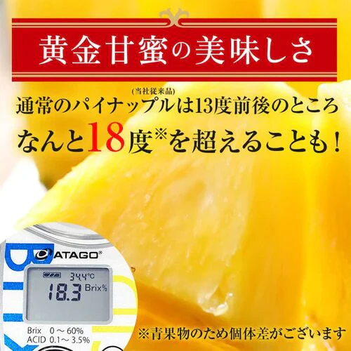 【一時休売】甘熟王ゴールドプレミアムパイン 2玉