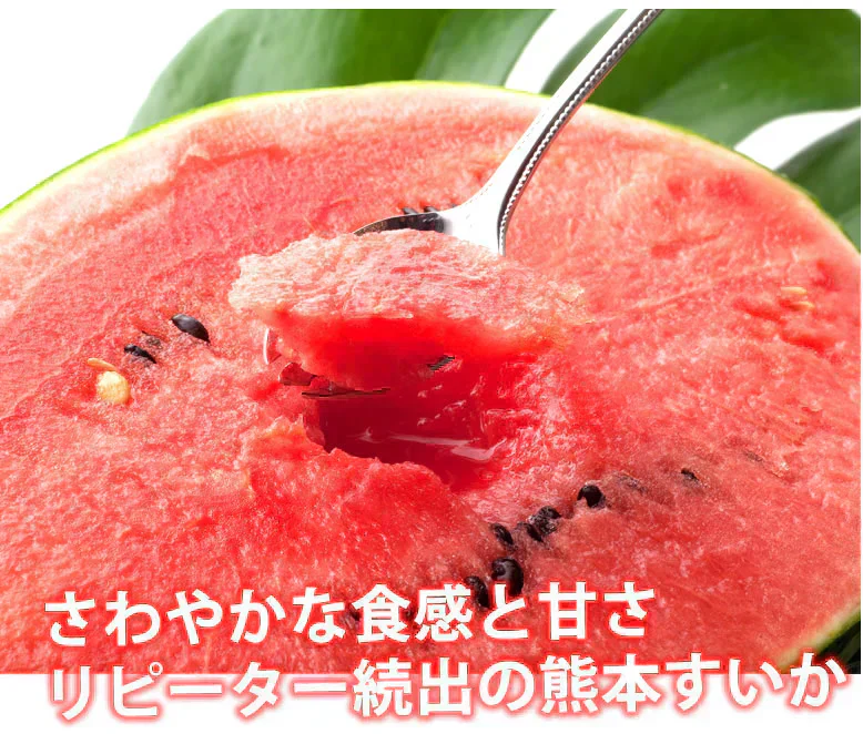 すいか 訳あり 大玉すいか 送料無料 6kg以上(6～10kg) 1玉 L〜3L 熊本すいか お取り寄せ スイカ 熊本県産 すいか 西瓜 フルーツ