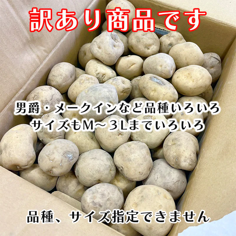 じゃがいも 5kg 訳あり メークイン 男爵　送料無料