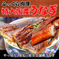 うなぎ 蒲焼き【国産 国内産】炭火焼うなぎ蒲焼1尾 特大(1尾：250g前後)土用の丑の日 宮崎県産・鹿児島県産 ※蒲焼のタレ付