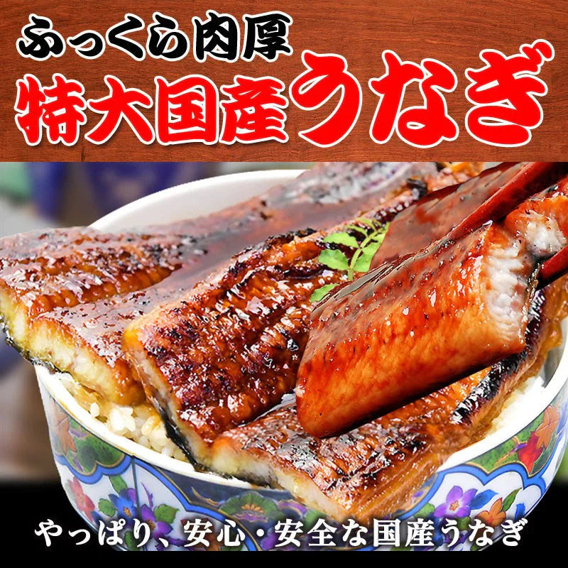 うなぎ 蒲焼き【国産 国内産】炭火焼うなぎ蒲焼1尾 特大(1尾：250g前後)土用の丑の日 宮崎県産・鹿児島県産 ※蒲焼のタレ付